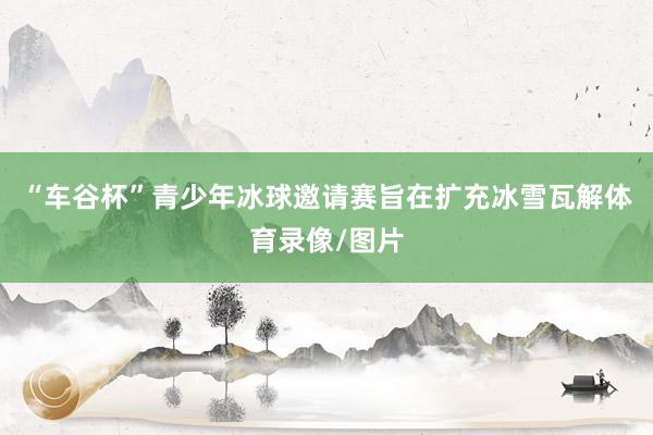 “车谷杯”青少年冰球邀请赛旨在扩充冰雪瓦解体育录像/图片