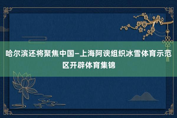 哈尔滨还将聚焦中国—上海阿谀组织冰雪体育示范区开辟体育集锦