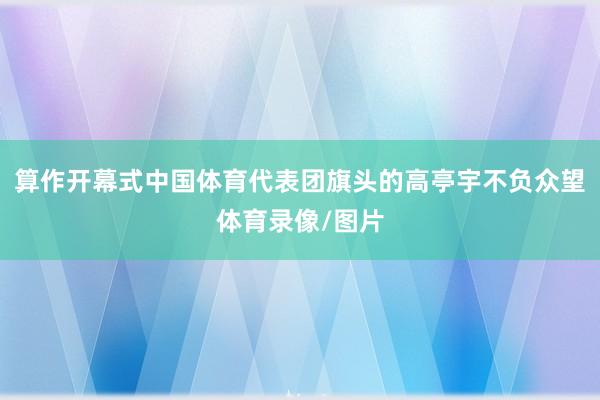 算作开幕式中国体育代表团旗头的高亭宇不负众望体育录像/图片