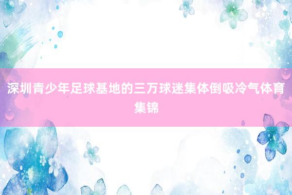 深圳青少年足球基地的三万球迷集体倒吸冷气体育集锦
