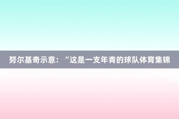 努尔基奇示意：“这是一支年青的球队体育集锦
