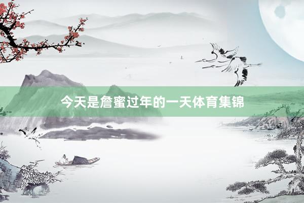 今天是詹蜜过年的一天体育集锦
