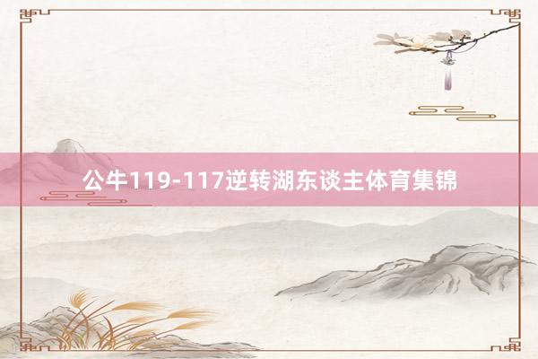 公牛119-117逆转湖东谈主体育集锦