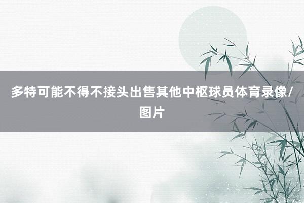 多特可能不得不接头出售其他中枢球员体育录像/图片