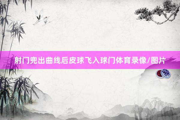 射门兜出曲线后皮球飞入球门体育录像/图片
