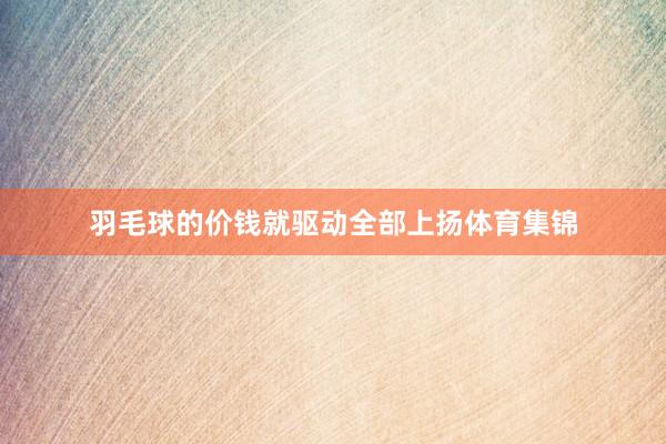 羽毛球的价钱就驱动全部上扬体育集锦