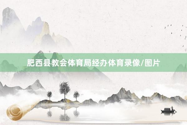 肥西县教会体育局经办体育录像/图片