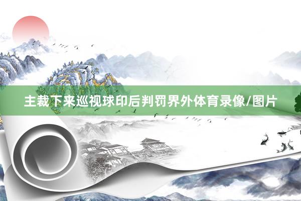 主裁下来巡视球印后判罚界外体育录像/图片