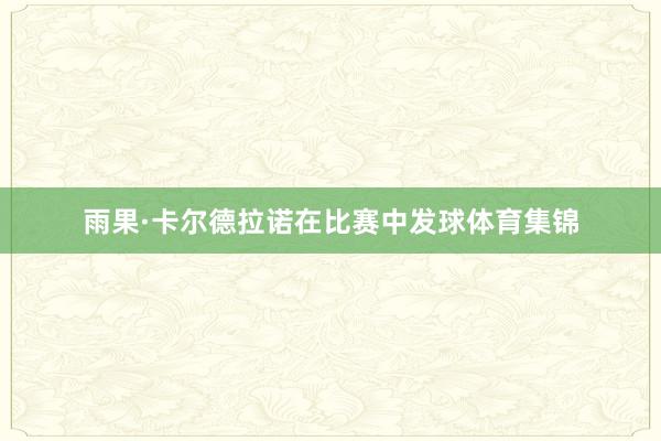雨果·卡尔德拉诺在比赛中发球体育集锦