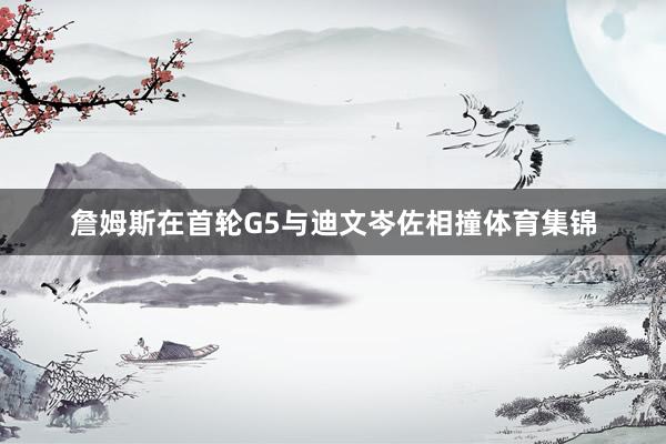 詹姆斯在首轮G5与迪文岑佐相撞体育集锦