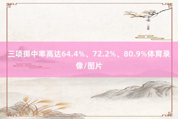 三项掷中率高达64.4%、72.2%、80.9%体育录像/图片