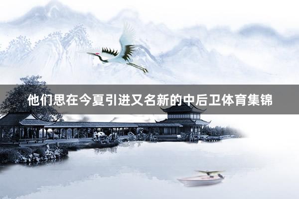 他们思在今夏引进又名新的中后卫体育集锦