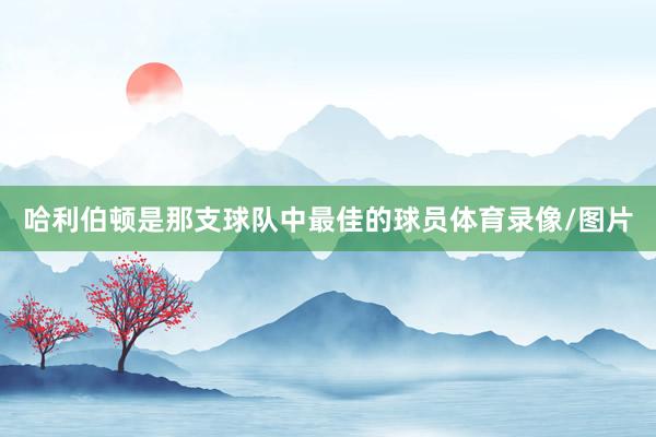 哈利伯顿是那支球队中最佳的球员体育录像/图片