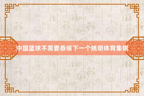 中国篮球不需要恭候下一个姚明体育集锦
