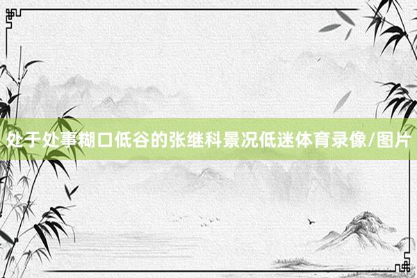 处于处事糊口低谷的张继科景况低迷体育录像/图片