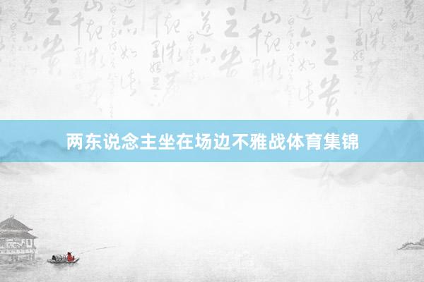 两东说念主坐在场边不雅战体育集锦