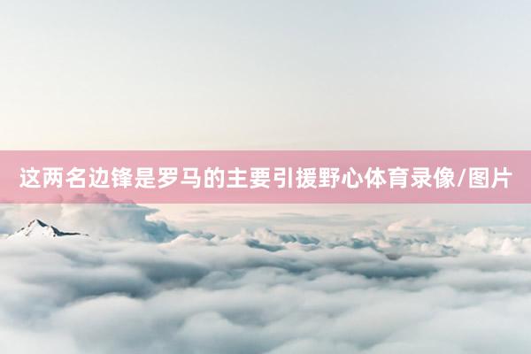这两名边锋是罗马的主要引援野心体育录像/图片