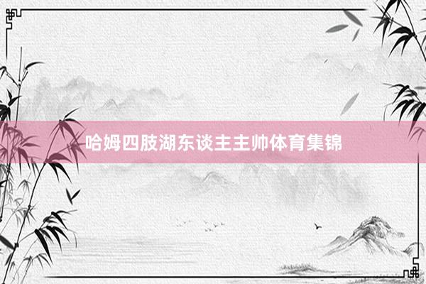哈姆四肢湖东谈主主帅体育集锦