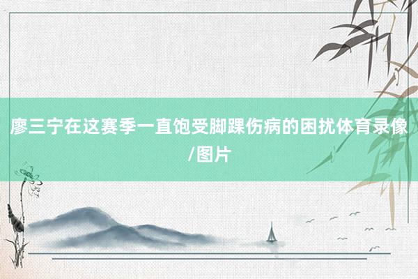 廖三宁在这赛季一直饱受脚踝伤病的困扰体育录像/图片