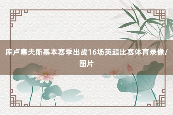 库卢塞夫斯基本赛季出战16场英超比赛体育录像/图片