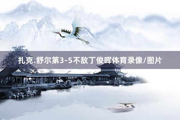 扎克.舒尔第3-5不敌丁俊晖体育录像/图片