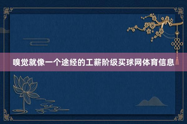 嗅觉就像一个途经的工薪阶级买球网体育信息
