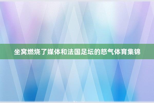 坐窝燃烧了媒体和法国足坛的怒气体育集锦