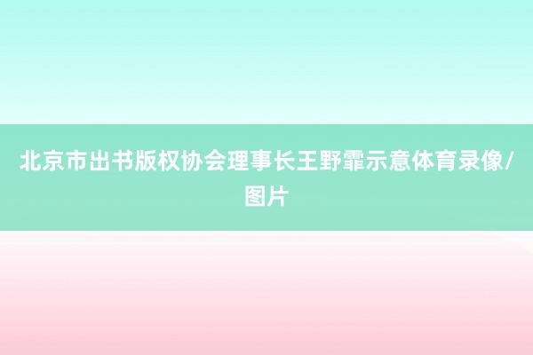北京市出书版权协会理事长王野霏示意体育录像/图片