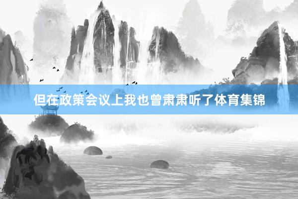 但在政策会议上我也曾肃肃听了体育集锦