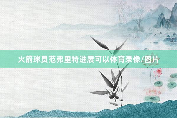 火箭球员范弗里特进展可以体育录像/图片