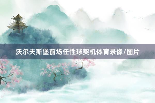 沃尔夫斯堡前场任性球契机体育录像/图片