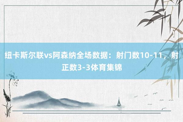纽卡斯尔联vs阿森纳全场数据：射门数10-11，射正数3-3体育集锦