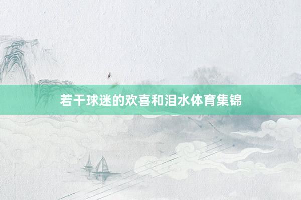 若干球迷的欢喜和泪水体育集锦