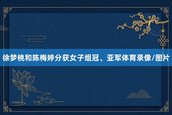 徐梦桃和陈梅婷分获女子组冠、亚军体育录像/图片