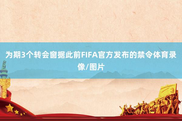 为期3个转会窗据此前FIFA官方发布的禁令体育录像/图片