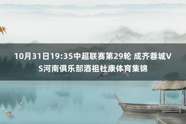 10月31日19:35中超联赛第29轮 成齐蓉城VS河南俱乐部酒祖杜康体育集锦